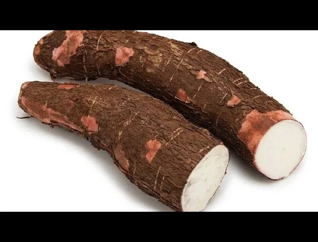 cassava recipe